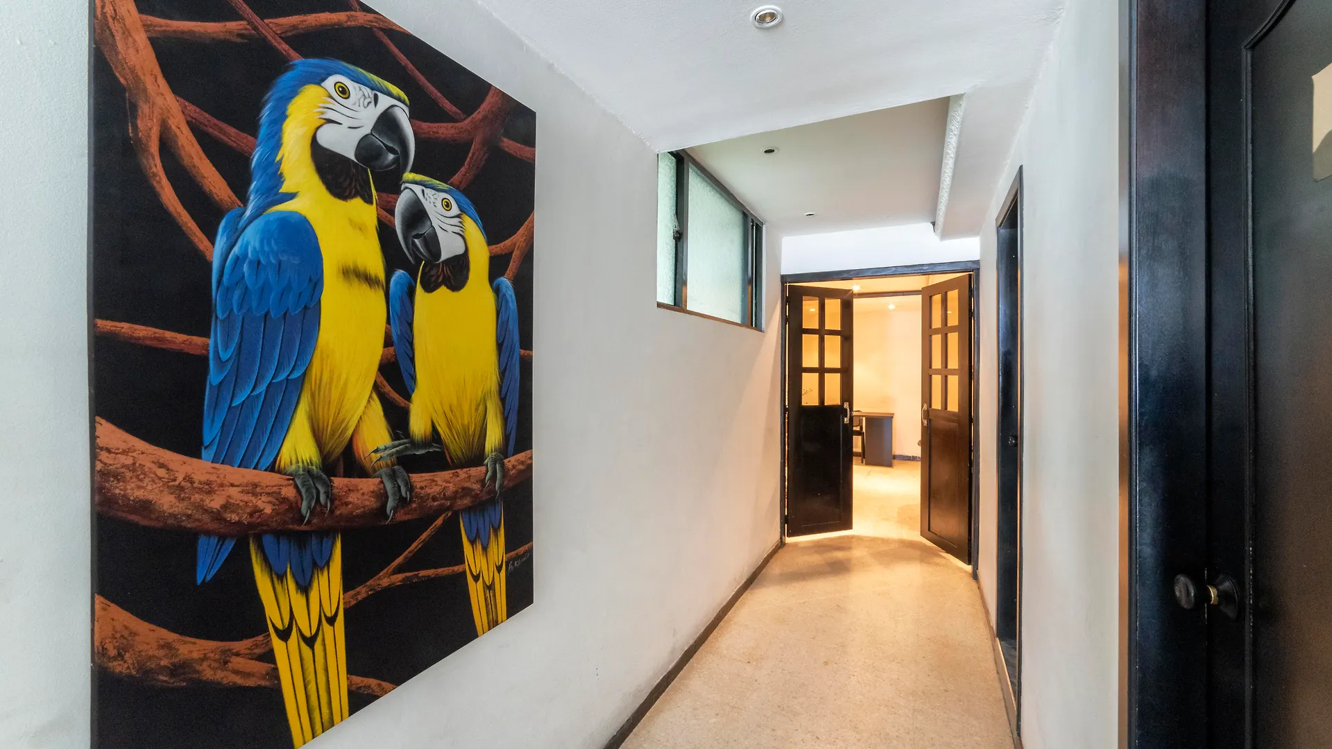 Hotel Elegant Suite Колумбия